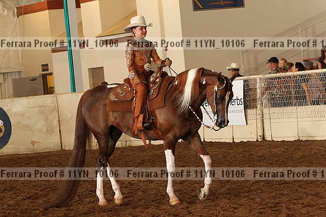 Proof 11yn_10106