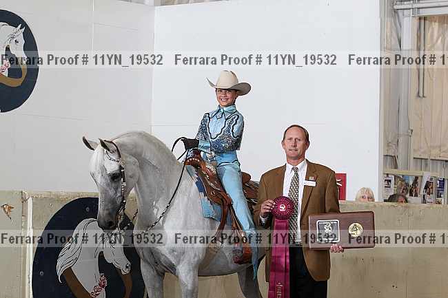 Proof 11yn_19532