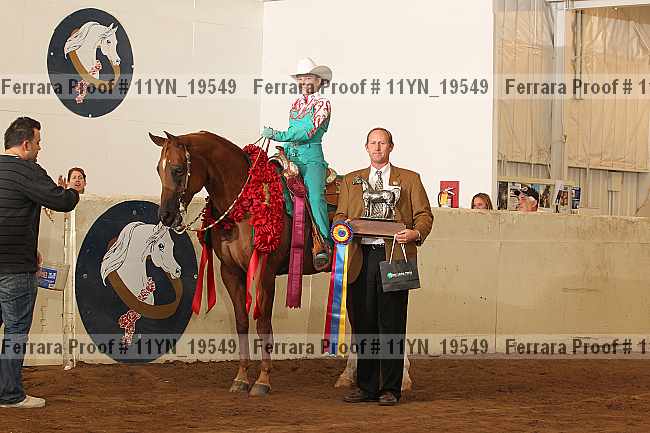 Proof 11yn_19549