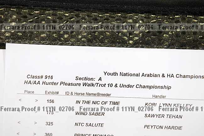 Proof 11yn_02706
