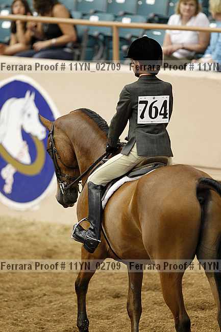 Proof 11yn_02709