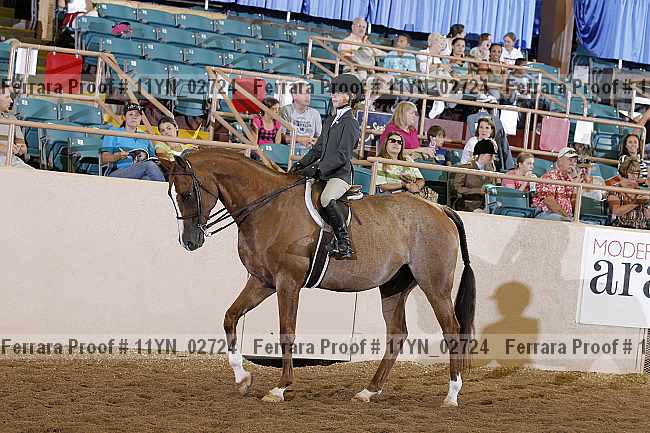 Proof 11yn_02724