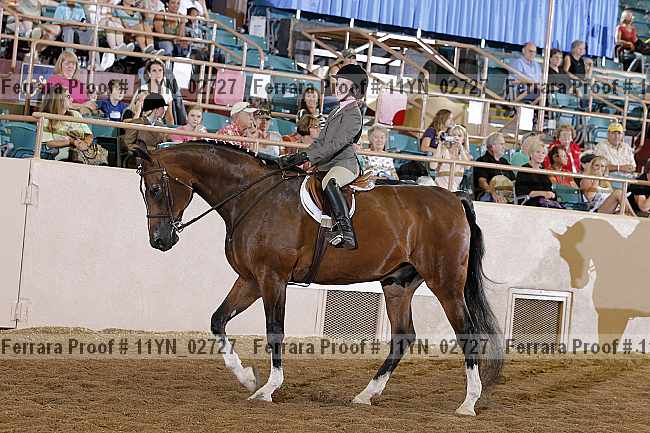 Proof 11yn_02727