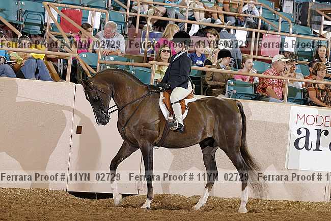 Proof 11yn_02729