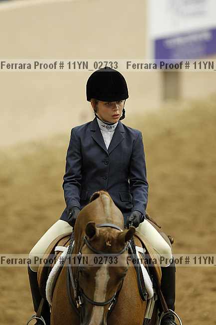 Proof 11yn_02733