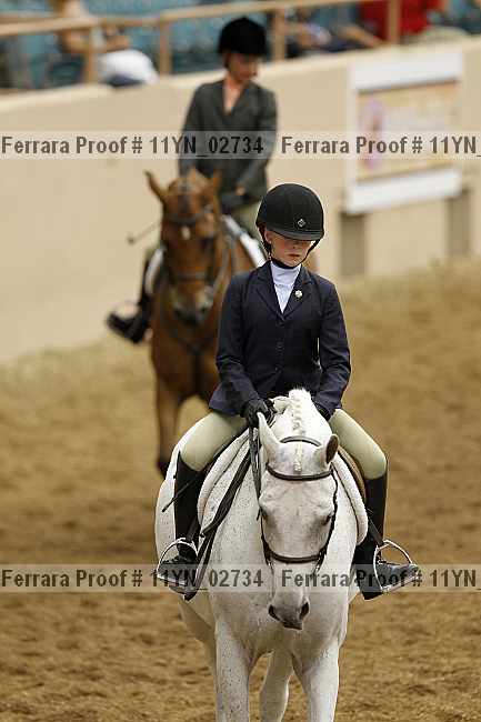 Proof 11yn_02734
