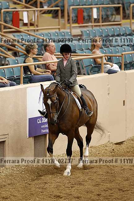 Proof 11yn_02737