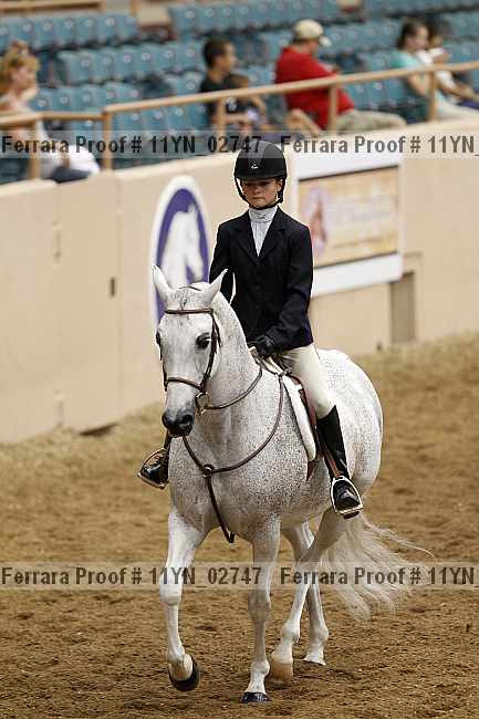 Proof 11yn_02747