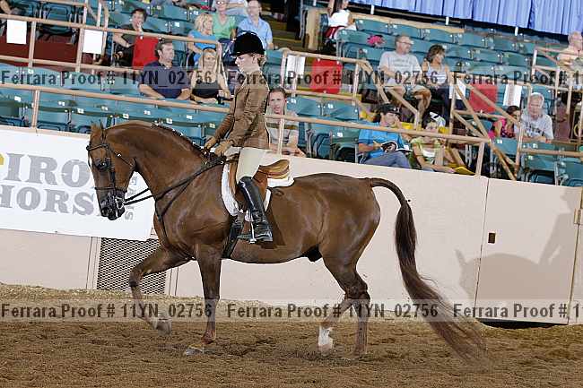 Proof 11yn_02756