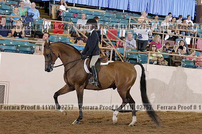 Proof 11yn_02757