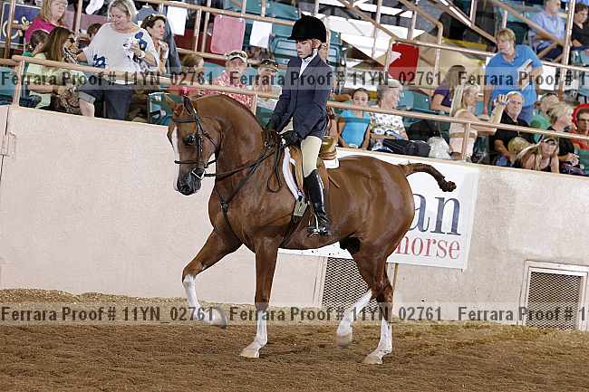 Proof 11yn_02761