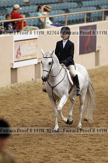 Proof 11yn_02764