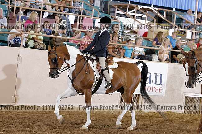 Proof 11yn_02765