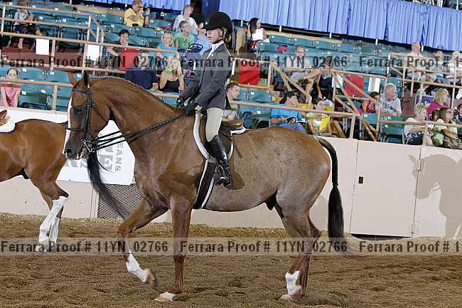 Proof 11yn_02766