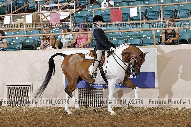 Proof 11yn_02770