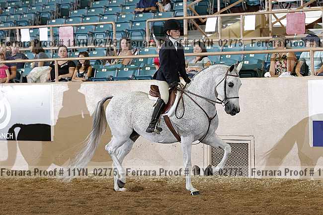 Proof 11yn_02775