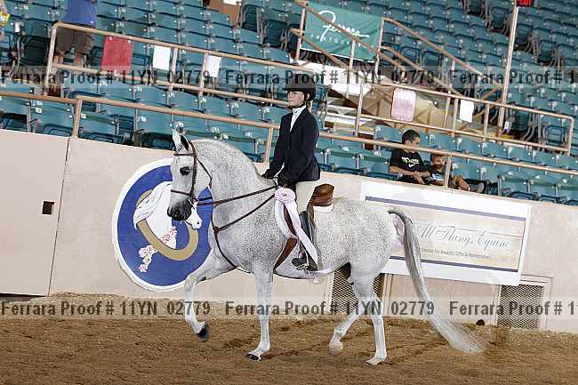 Proof 11yn_02779