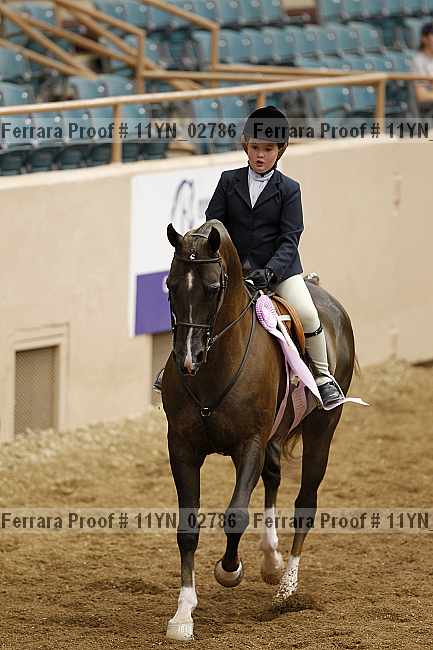 Proof 11yn_02786