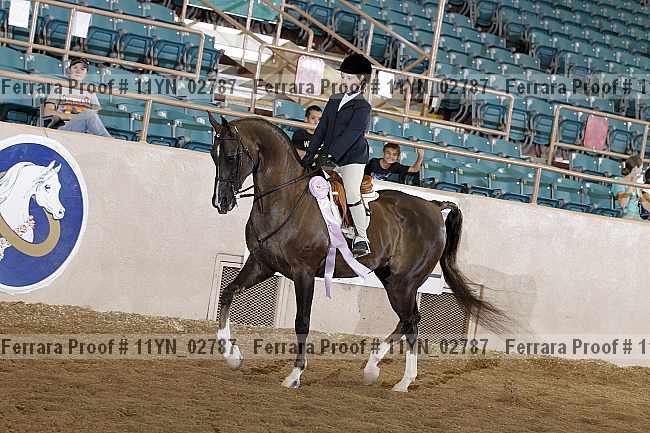 Proof 11yn_02787