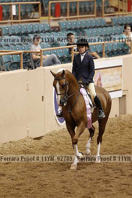 Proof 11yn_02789