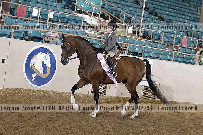 Proof 11yn_02794