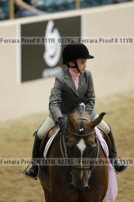 Proof 11yn_02795