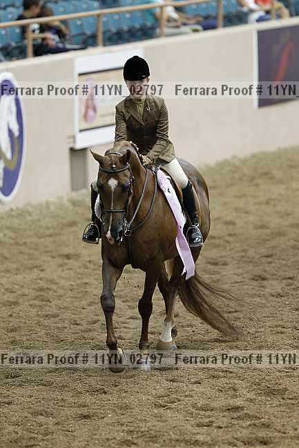 Proof 11yn_02797
