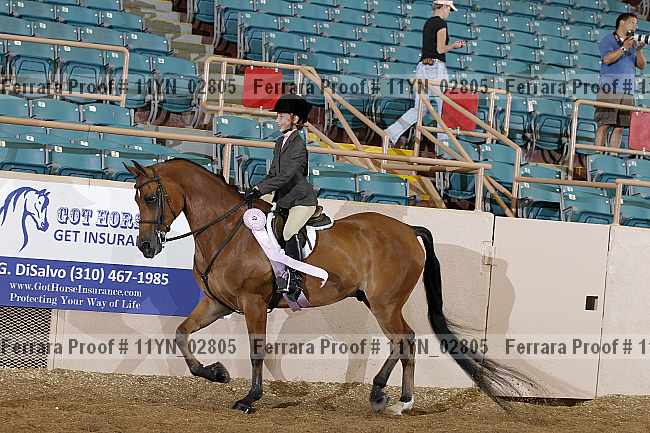 Proof 11yn_02805