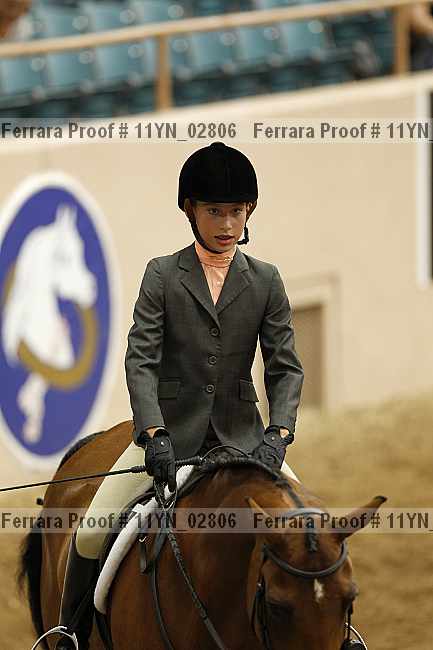 Proof 11yn_02806