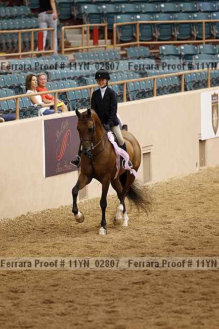 Proof 11yn_02807