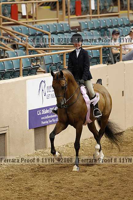 Proof 11yn_02808