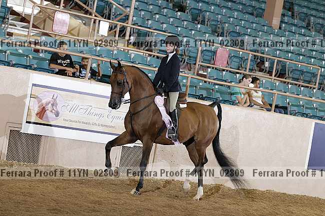 Proof 11yn_02809