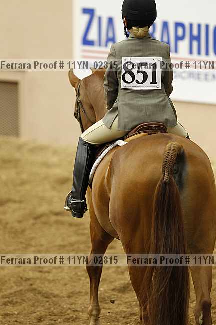Proof 11yn_02815