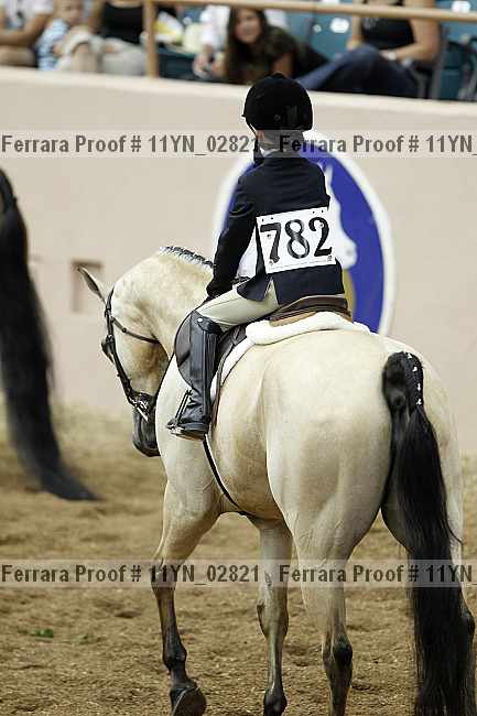 Proof 11yn_02821