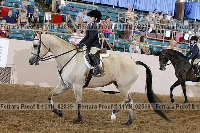 Proof 11yn_02839