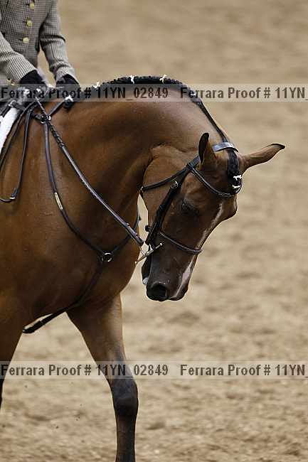 Proof 11yn_02849