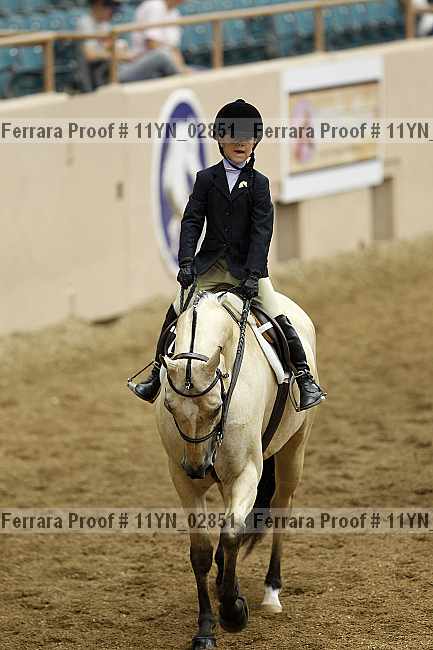 Proof 11yn_02851