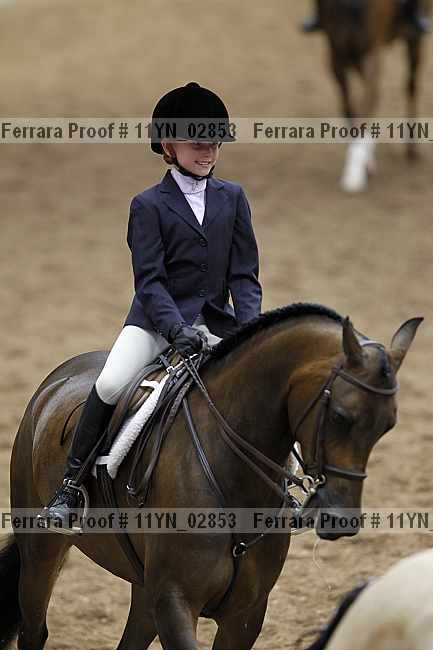 Proof 11yn_02853