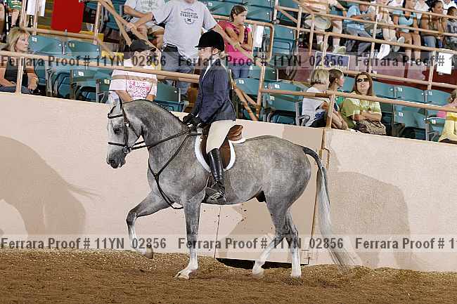 Proof 11yn_02856