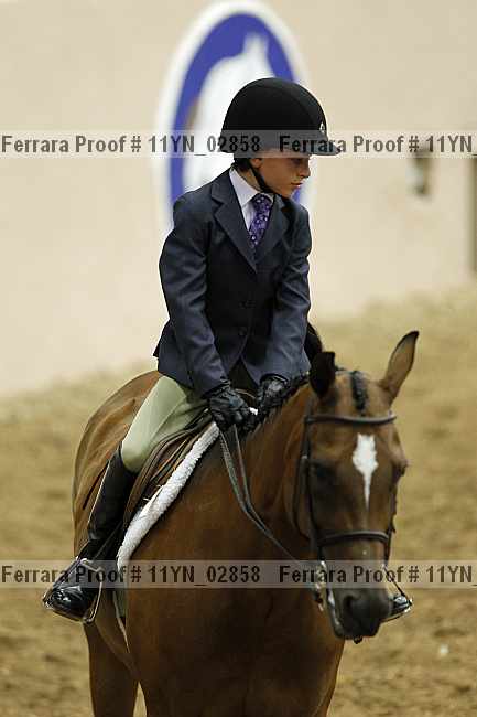 Proof 11yn_02858