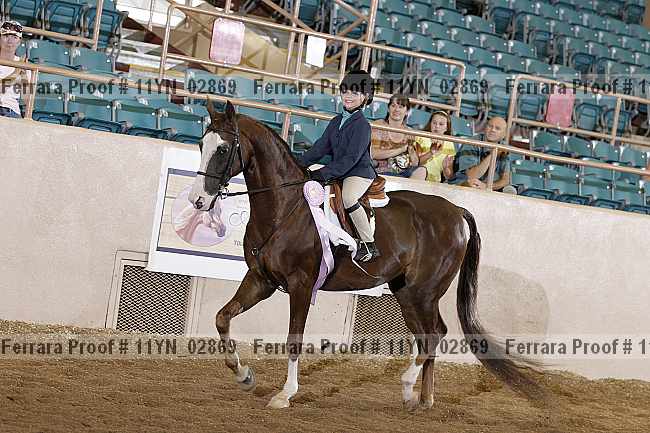 Proof 11yn_02869