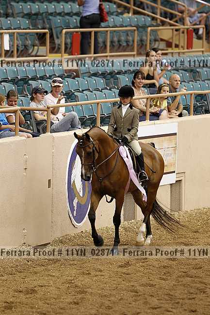 Proof 11yn_02871