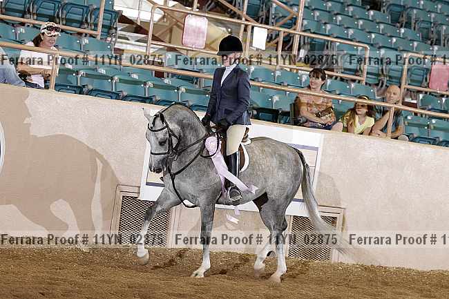 Proof 11yn_02875