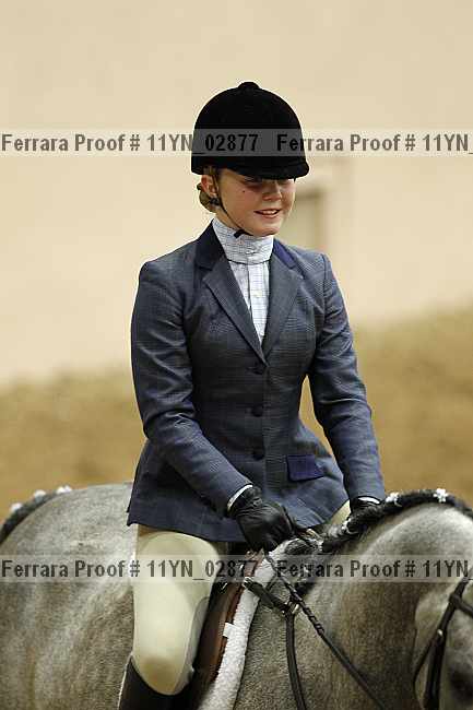 Proof 11yn_02877