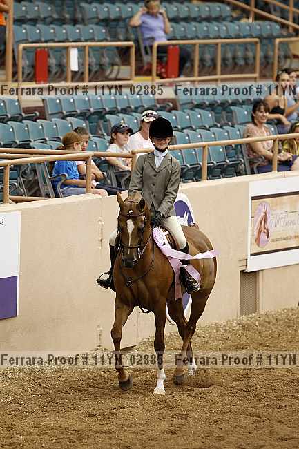 Proof 11yn_02885