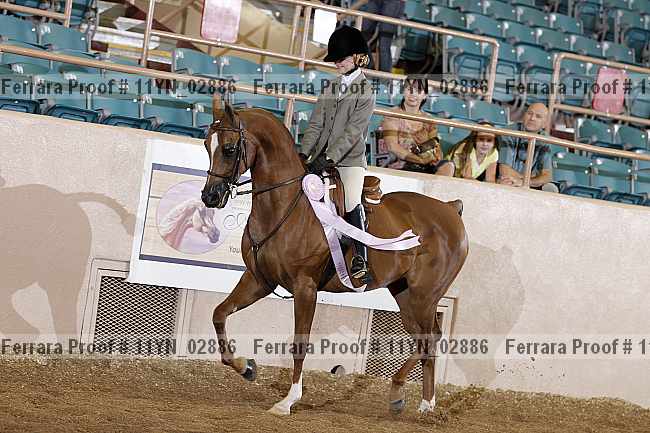 Proof 11yn_02886