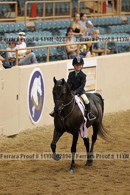 Proof 11yn_02896