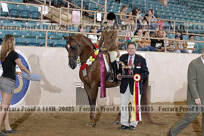 Proof 11yn_20485