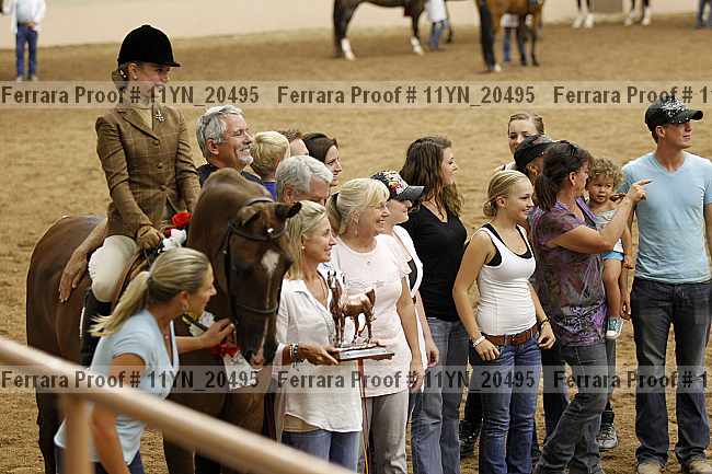 Proof 11yn_20495