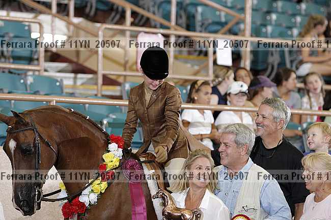 Proof 11yn_20507